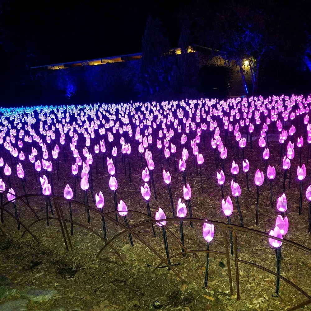 Meet your Posher, Jenny